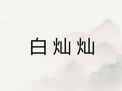 白灿灿