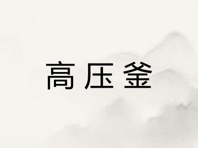 高压釜