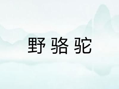 野骆驼