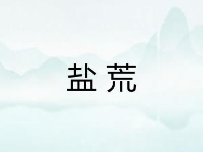盐荒