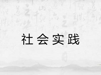 社会实践