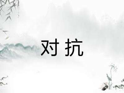 对抗
