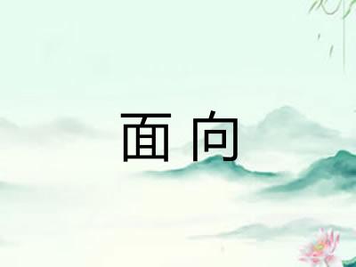 面向