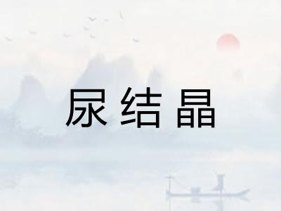 尿结晶