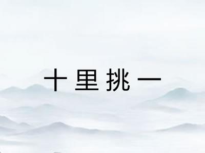十里挑一
