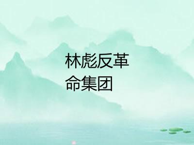 林彪反革命集团