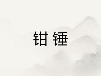 钳锤