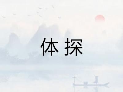 体探