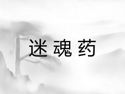 迷魂药