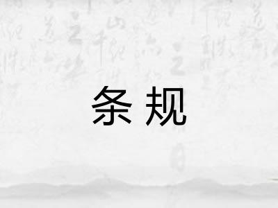 条规