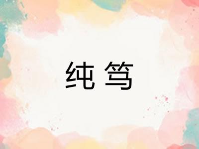 纯笃