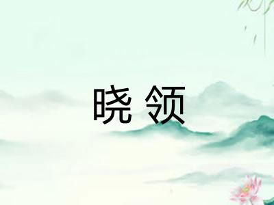 晓领