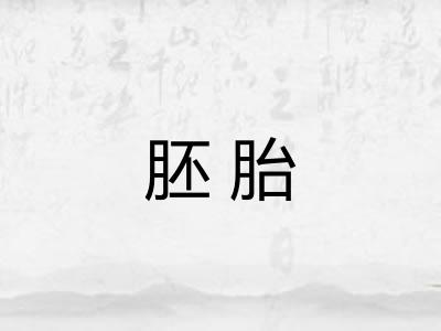 胚胎