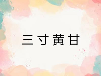 三寸黄甘