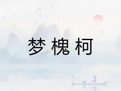 梦槐柯
