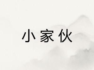 小家伙