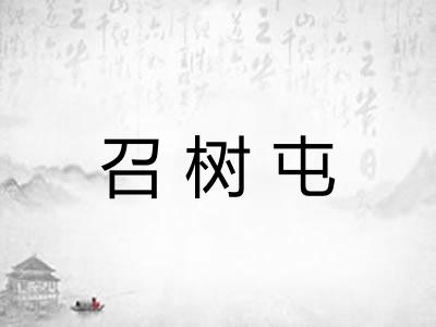 召树屯