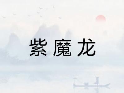 紫魔龙
