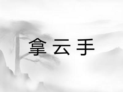 拿云手
