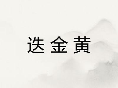 迭金黄