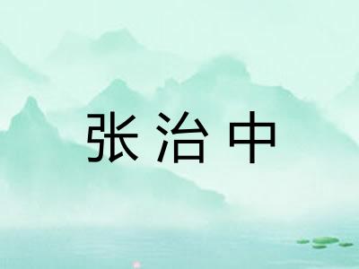 张治中