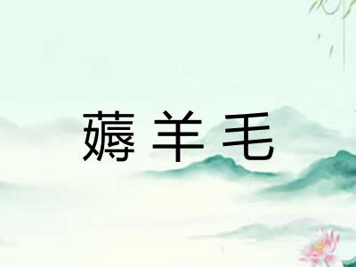 薅羊毛