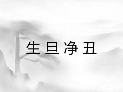 生旦净丑