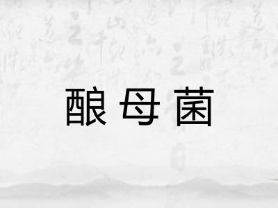 酿母菌