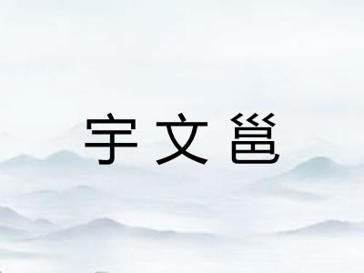 宇文邕