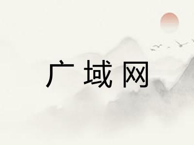广域网