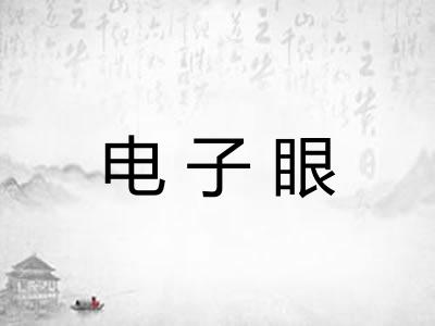 电子眼