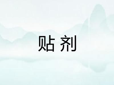 贴剂