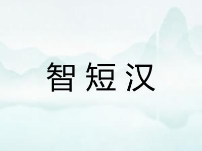 智短汉