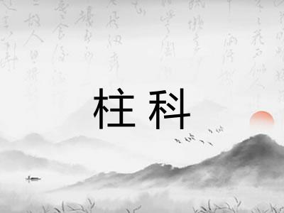 柱科