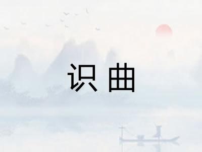 识曲