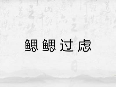 鳃鳃过虑