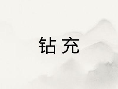 钻充