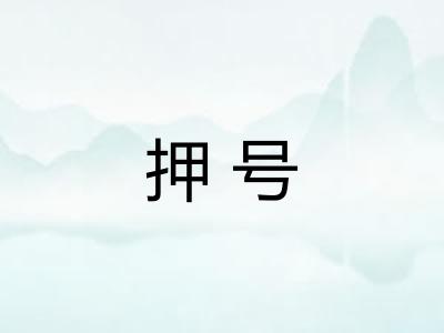 押号