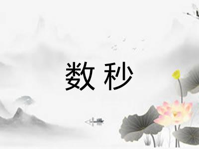 数秒