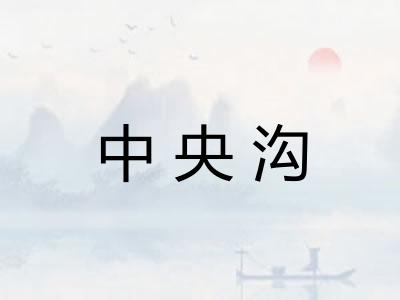 中央沟