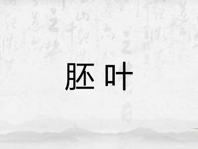 胚叶