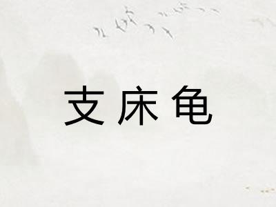 支床龟