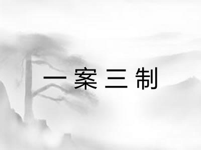 一案三制