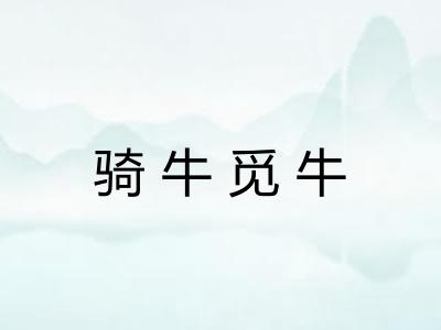 骑牛觅牛