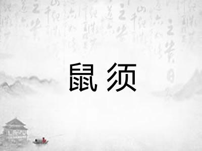 鼠须