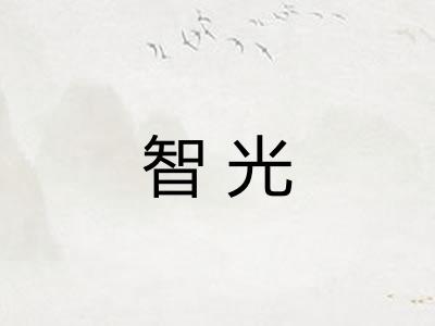 智光