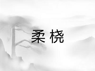 柔桡