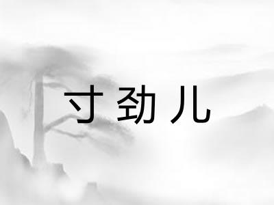 寸劲儿