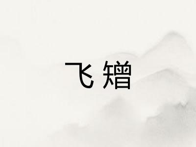 飞矰