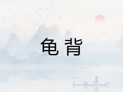 龟背